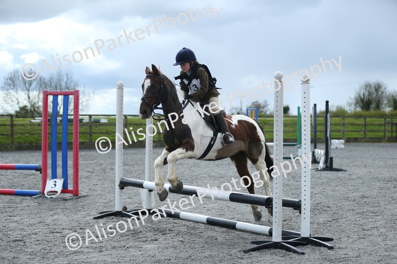 20260412-1731 - Show Jumping