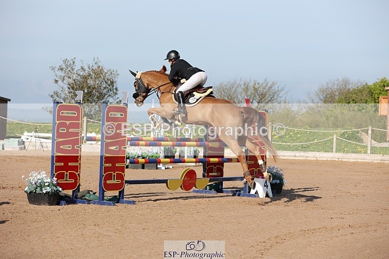 250427-085643-14673 - Cls 28 Young Horse 5yr old