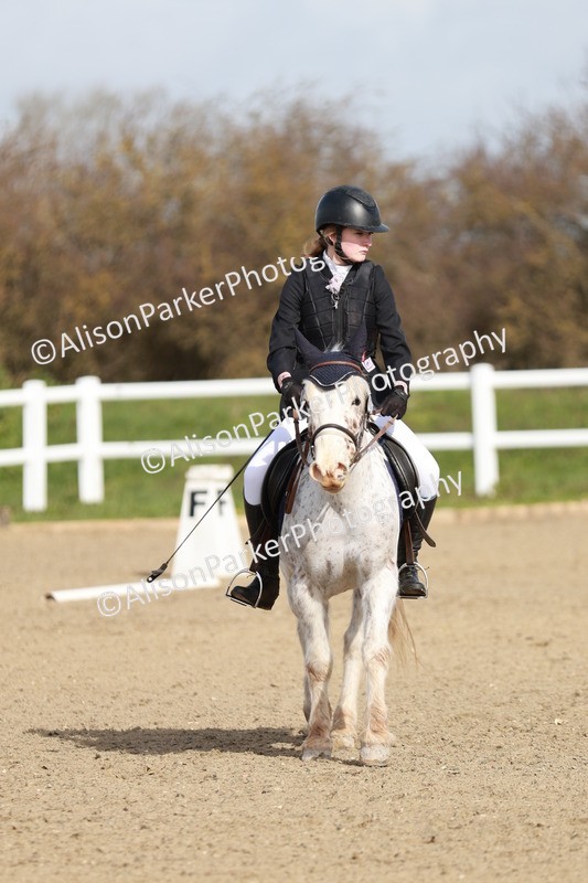 20260314-1117 - DR2 - Intro 3