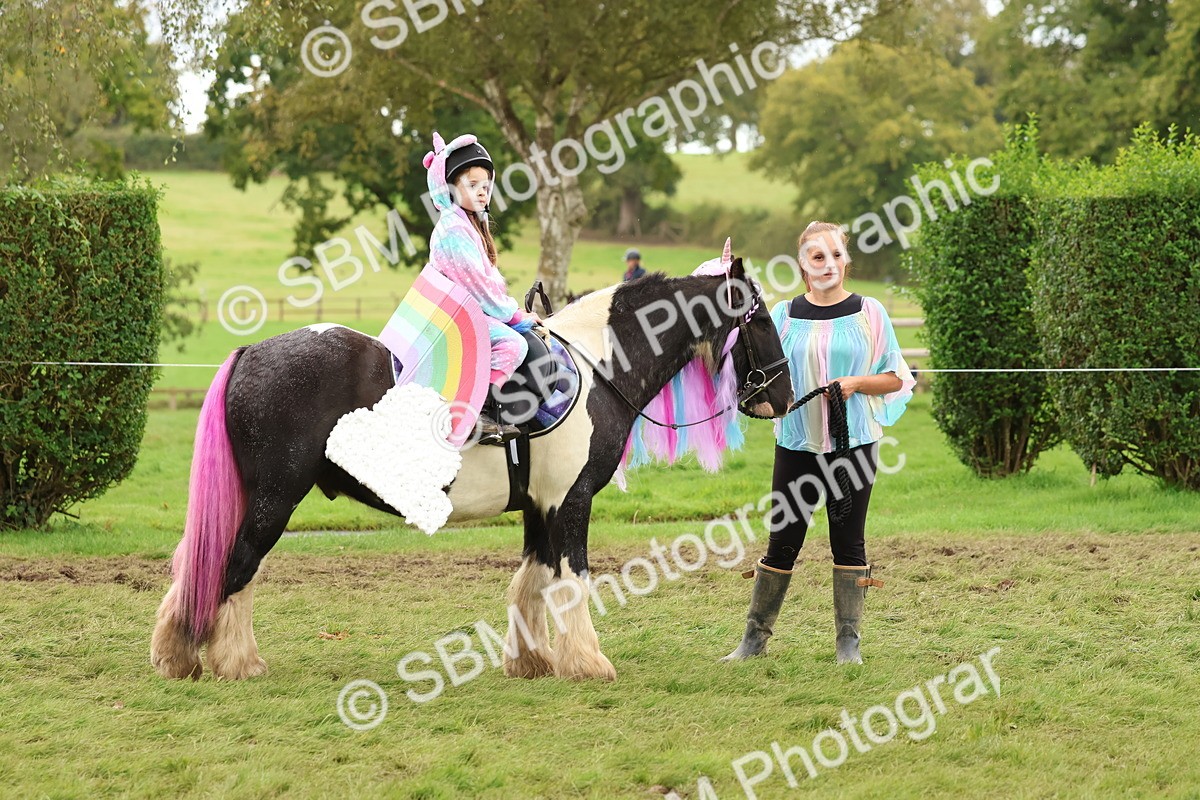 SBM_62154 - S37b - Best Unicorn