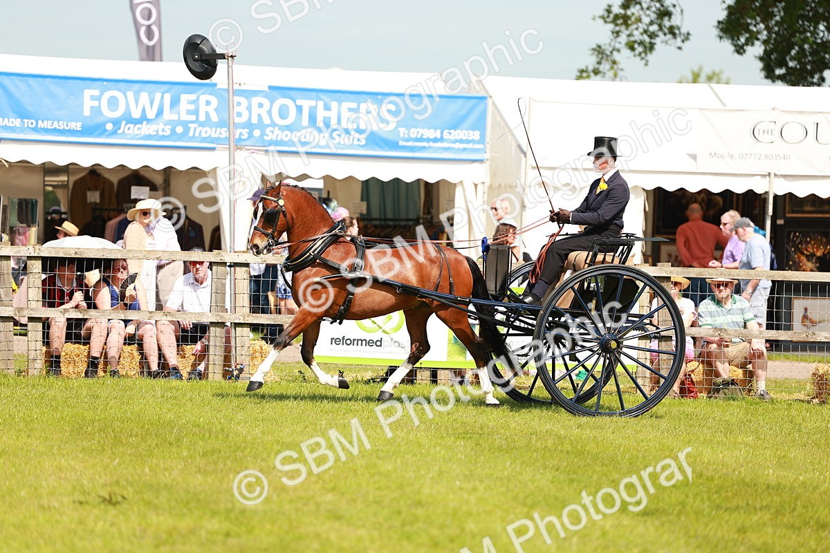 SBM_02875 - Class 2-4 - HOYS Private Driving