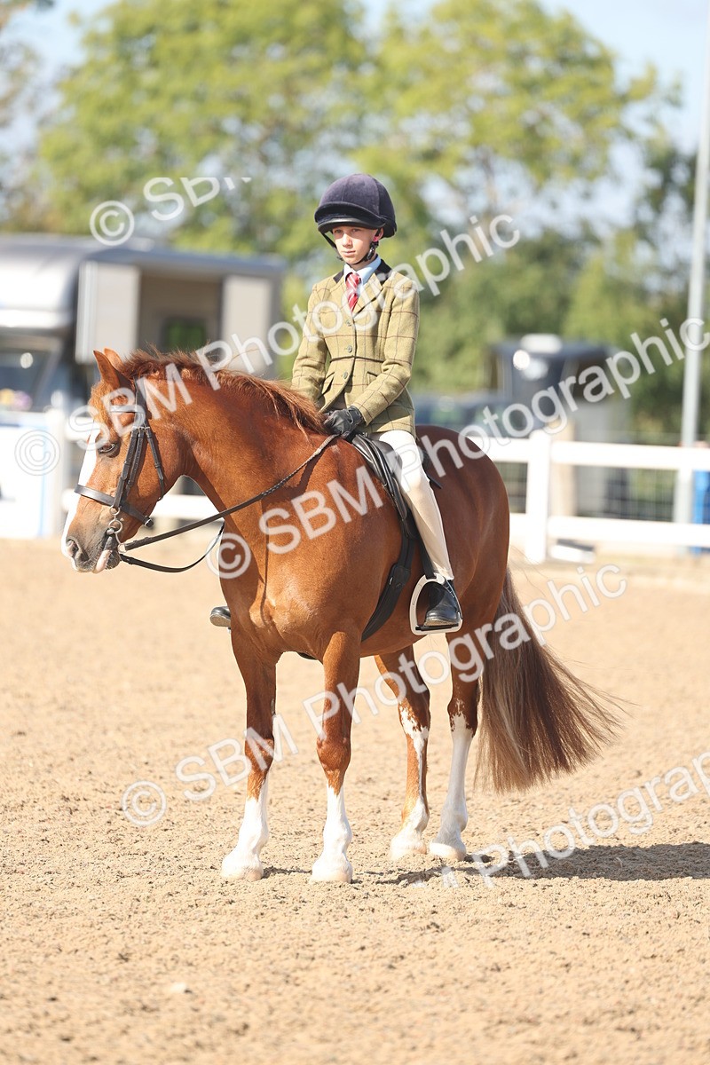 SBM_22624 - Class 804 - Ridden Veteran Pony