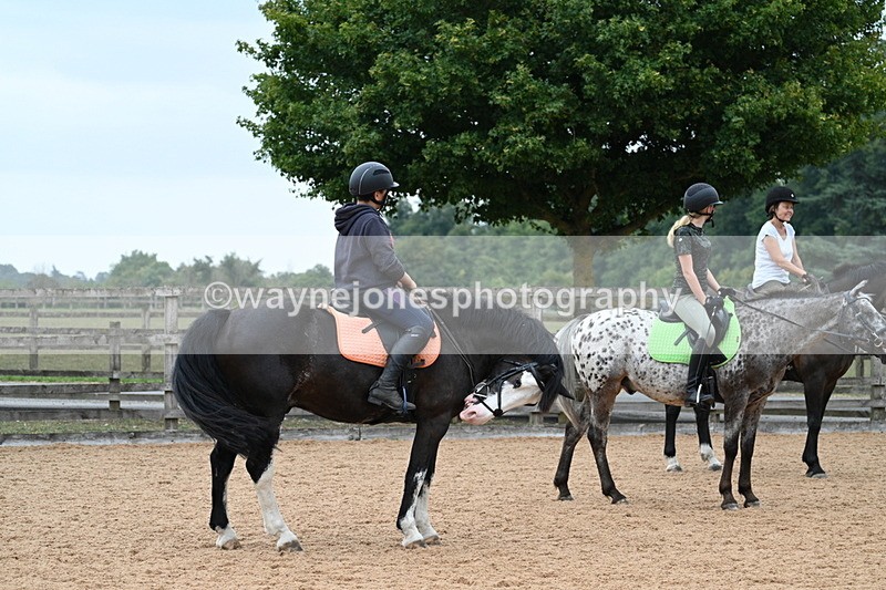 WJ7_9681 - Poles 14:00