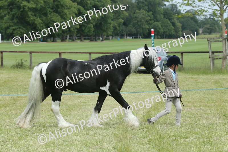20260614-4254 - Class 18 - Best Junior Handler