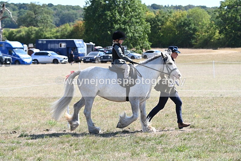 WJ6_7815 - Class 36 Lead Rein