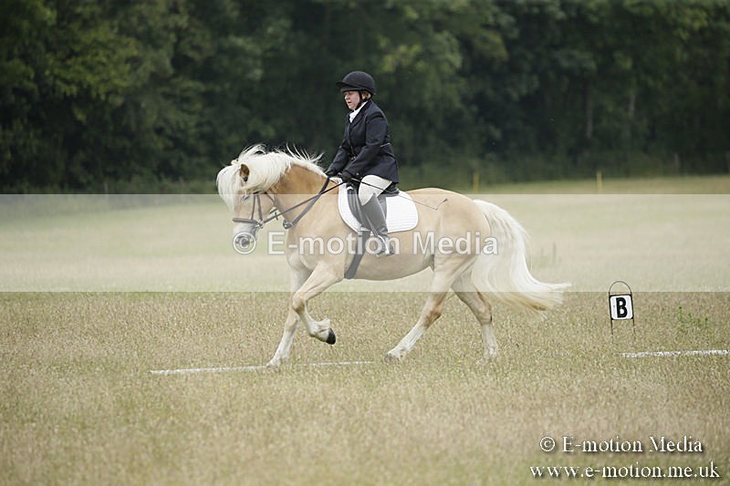 B230619-0607 - Bourne Valley Riding Club Summer Show 23/06/19