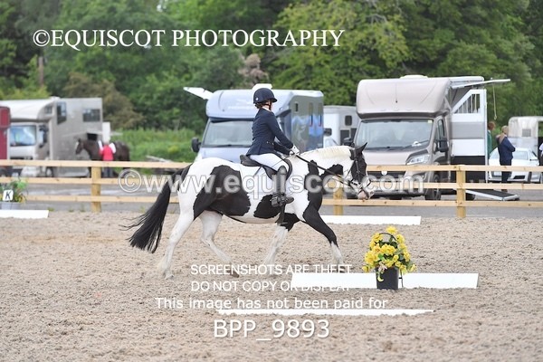 BPP_9893 - SHORT ARENA  MY QUEST PRELIM