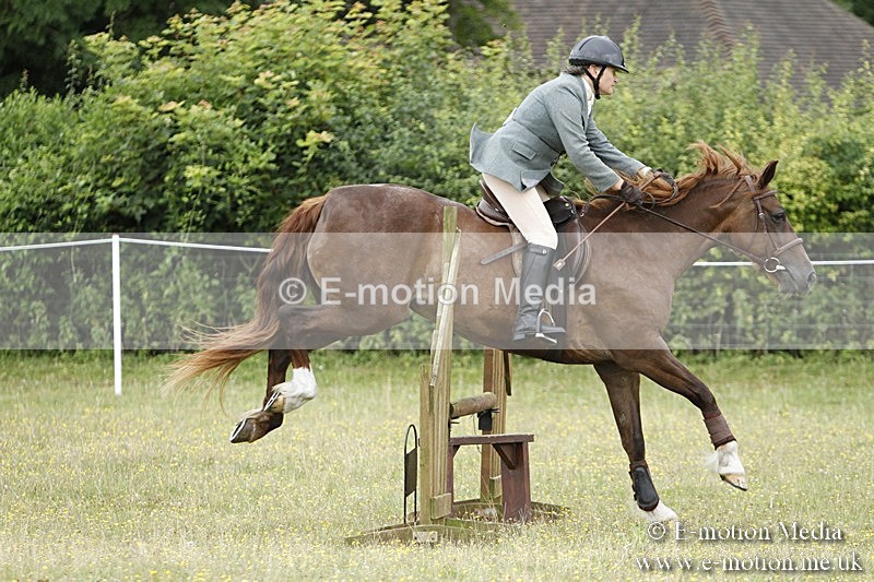 BVR160717-905 - Ring 3 BVRC Show 16/07/17