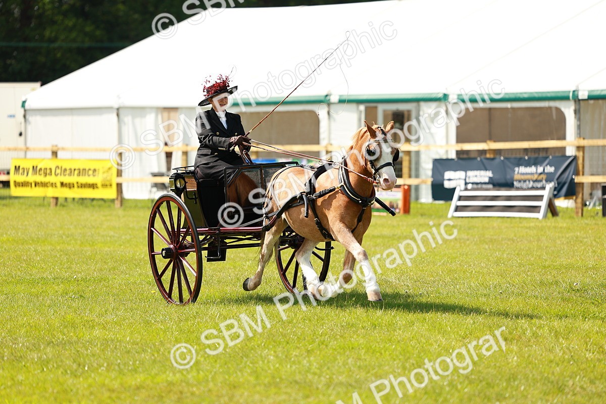 SBM_02667 - Class 2-4 - HOYS Private Driving