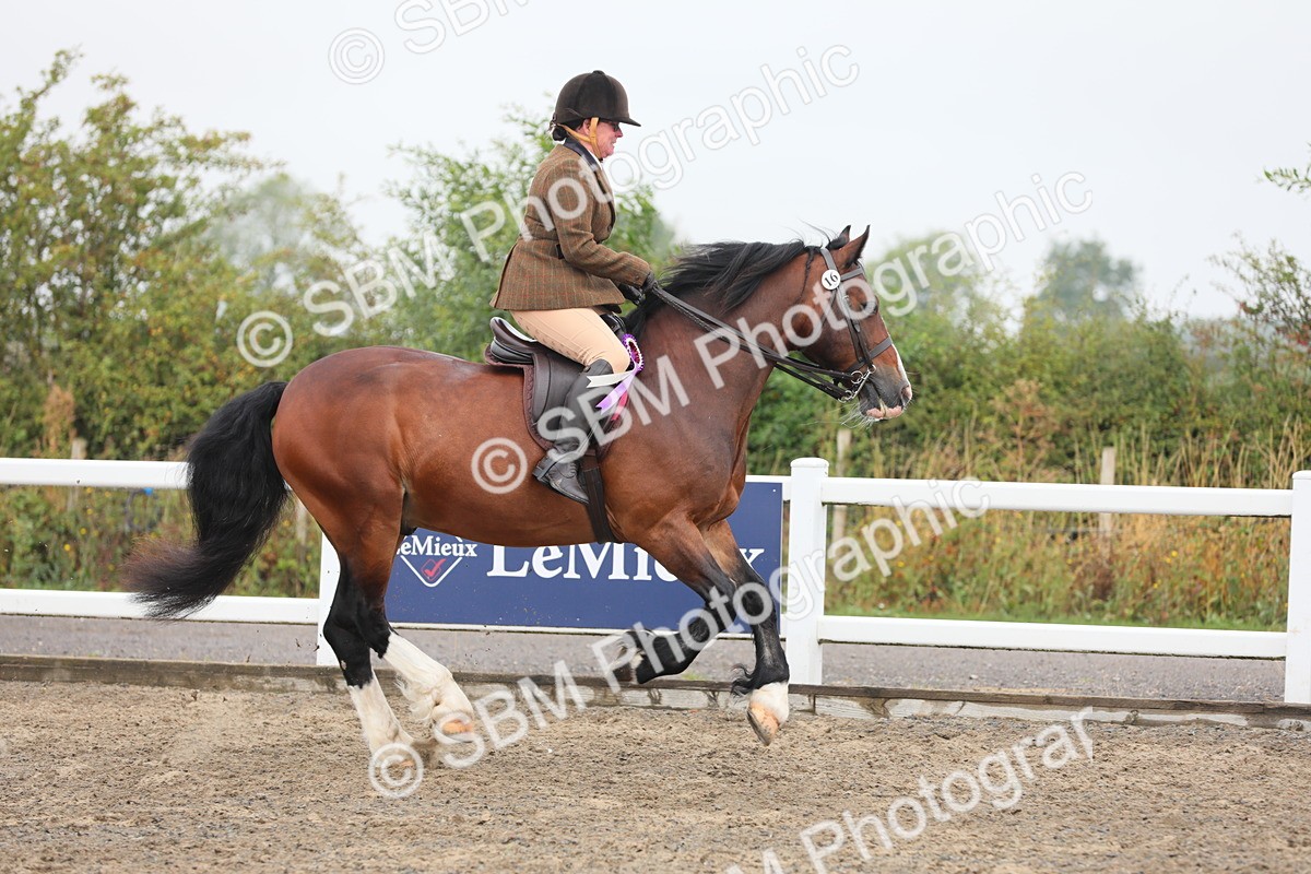 SBM_21436 - Class 805 - Ridden Veteran Horse