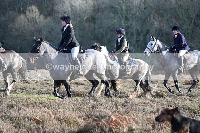 WJ7_7974 - Line 3 (no line 4 or 5)