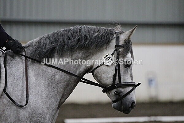 SIAL4061 - CAbin Dressage 5th july 2025