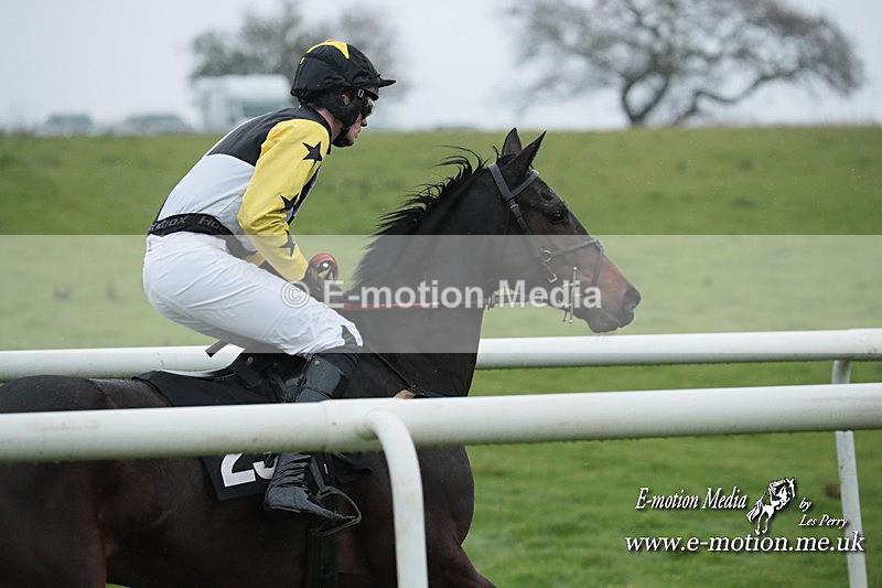 PtP 031223 769 - Wheatland Hunt PtP Chaddesley Races 03/12/23