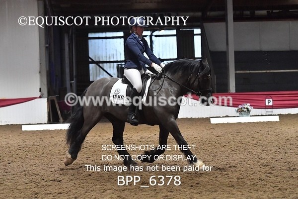 BPP_6378 - 37 Ellis Simister
