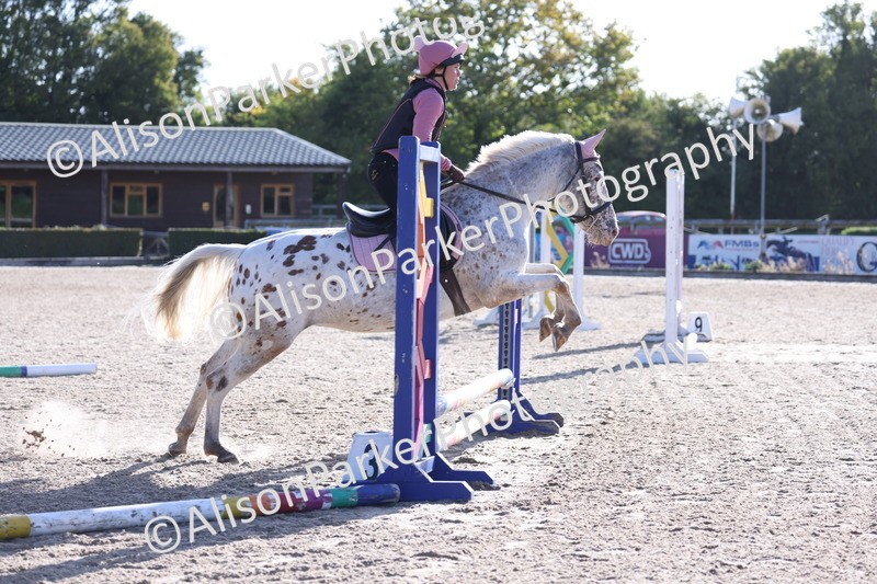 20251005-0100 - Class 2 - 50cm