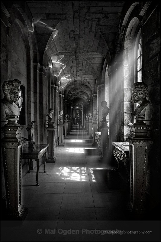 Light extraganza - Black & White/Monochrome