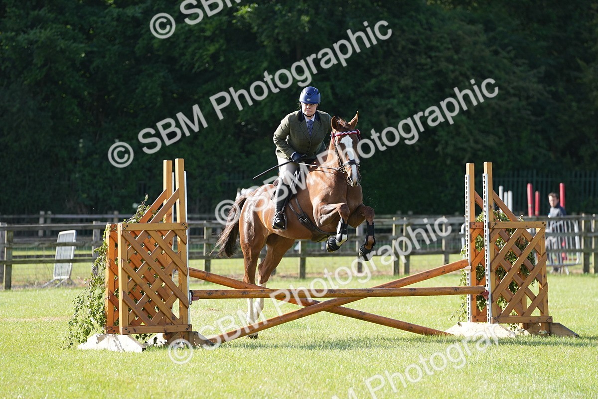 SBM_10506 - Class 97-98 - LIHS BSHA Rising Star Working Show Horse Hunter