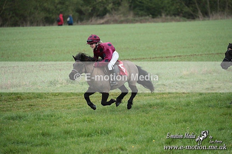 SHETPR 210425 119 - Shetland Ponies Paxford Races 21/04/25