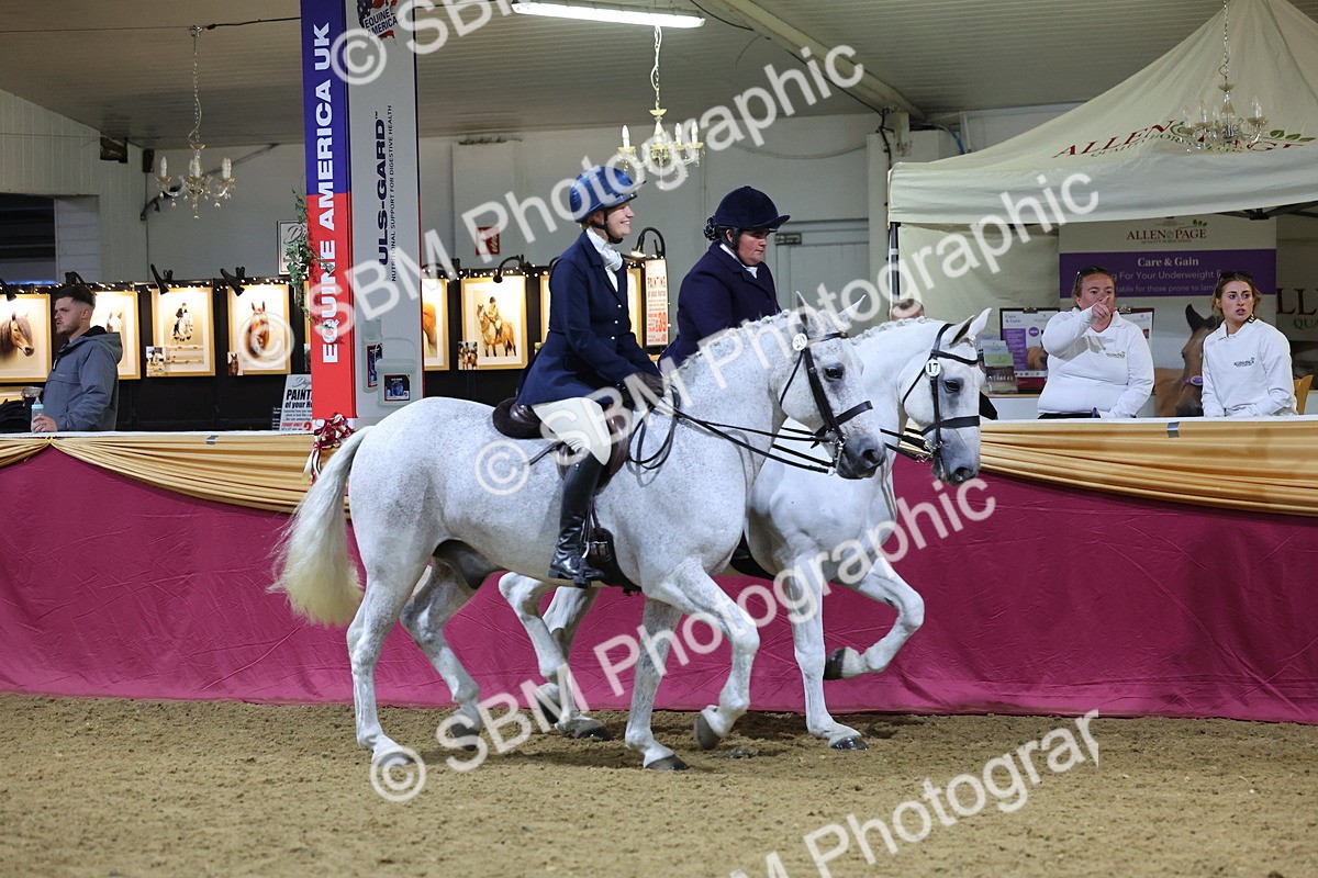 0B8A4322 - Class M Ridden Pairs Champ