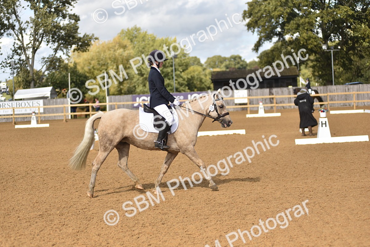 SBM_48772 - D22 - Junior Championship Intro 3