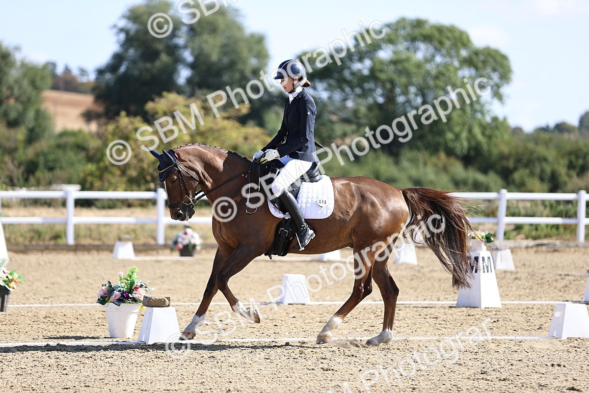 SBM_013081 - Class 2 - P5 Silver  10.03.10.59