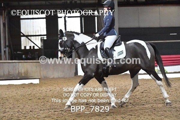 BPP_7829 - ELEM TEST 6