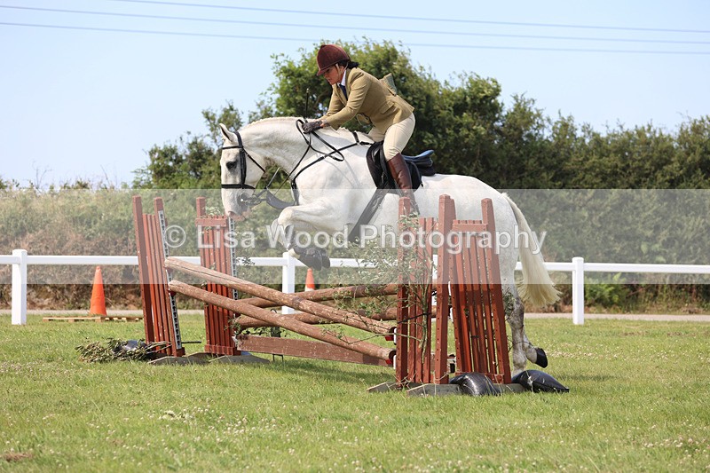 JPP_3670 - Class 23: Working Hunter 80cm