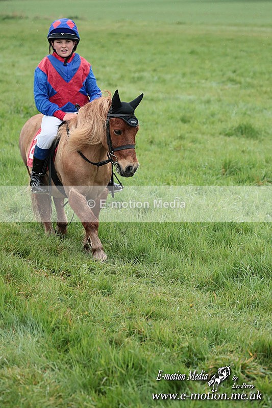 SHETPR 210425 152 - Shetland Ponies Paxford Races 21/04/25