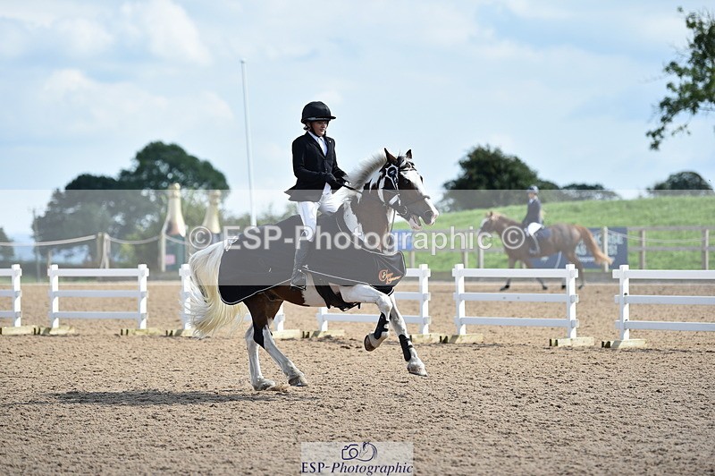 230902A-145454-01851 - Cls 3B Pony Medium 90cm