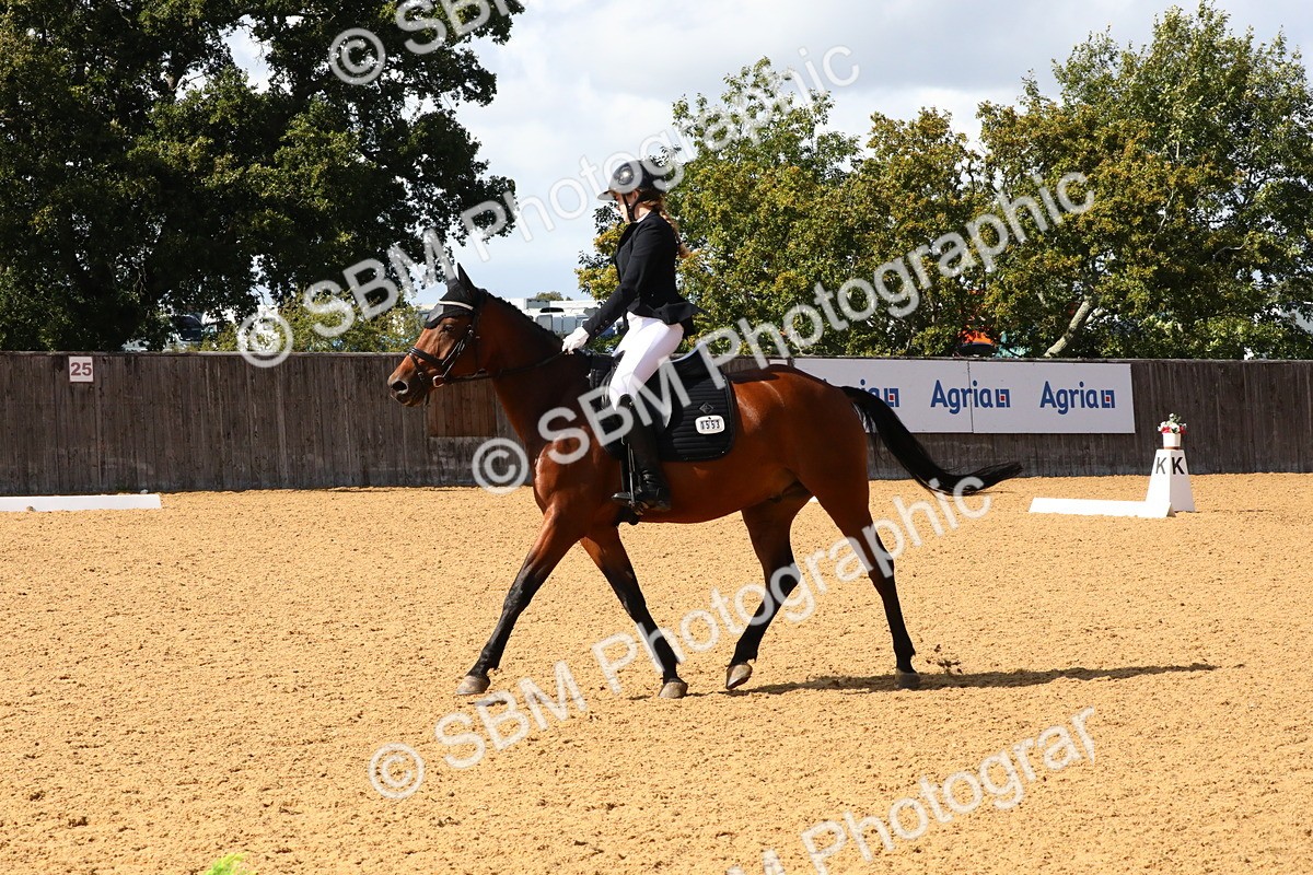 SBM_23521 - D5 - Small Tour Championshop Intro 2