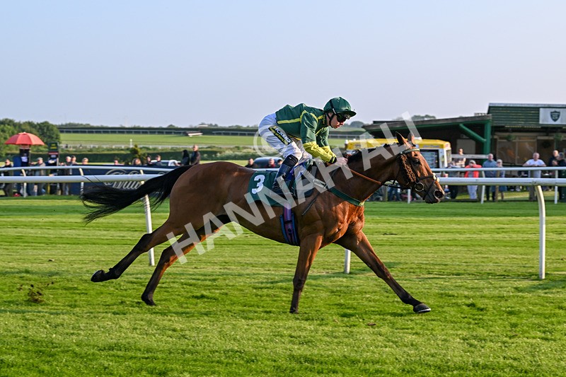 310524-Race 3-Lord Torranaga-8684 - Race 3