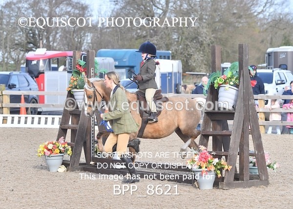 BPP_8621 - TRAINING STAKES