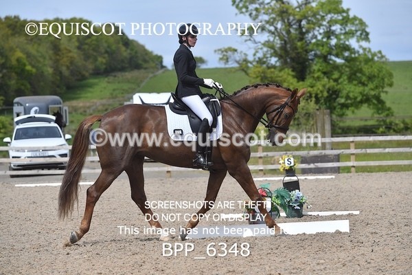 BPP_6348 - 33 N BAXTER