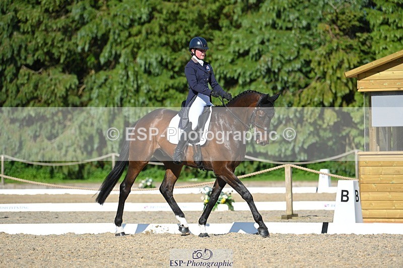 230526-172612-07603 - 263-CARWARTHEN_HARRIER-Polly_Muirhead-WEDTrotUp+DR