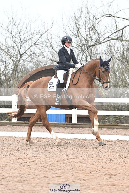 250215-113352-03221 - 257-Beth.Bainbridge-NEWTON.GLOVETROTTER