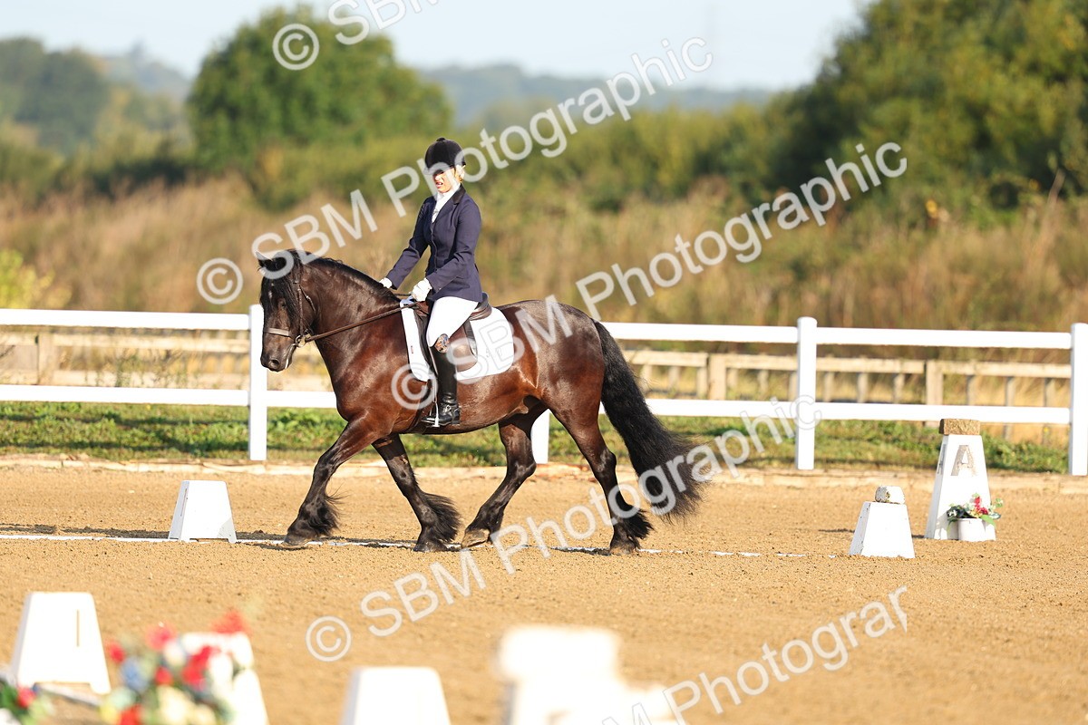 SBM_009988 - Class 1 - Prelim 19 8.02-9.05