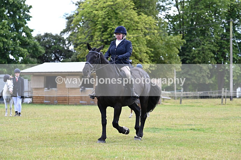 WJ7_9560 - Class 8 Ridden Veterans