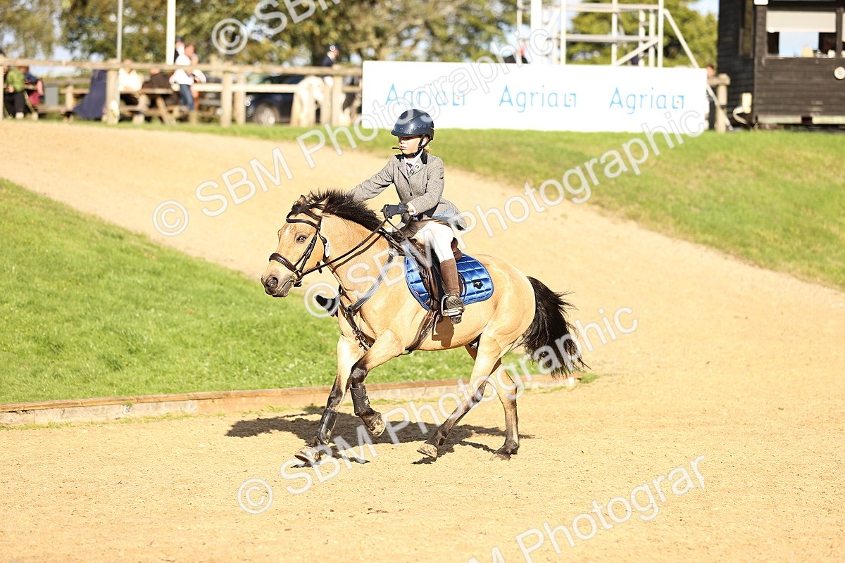 SBM_51876 - J10 - Junior Pony 75cm Championship