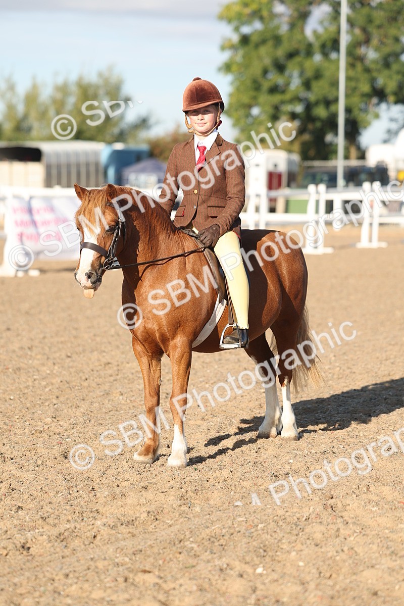 SBM_10919 - Class 301 - Ridden M&M Small Breeds