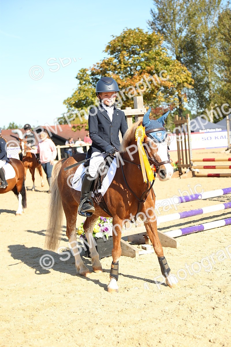 SBM_36028 - J5 - Junior Pony 50cm Championship