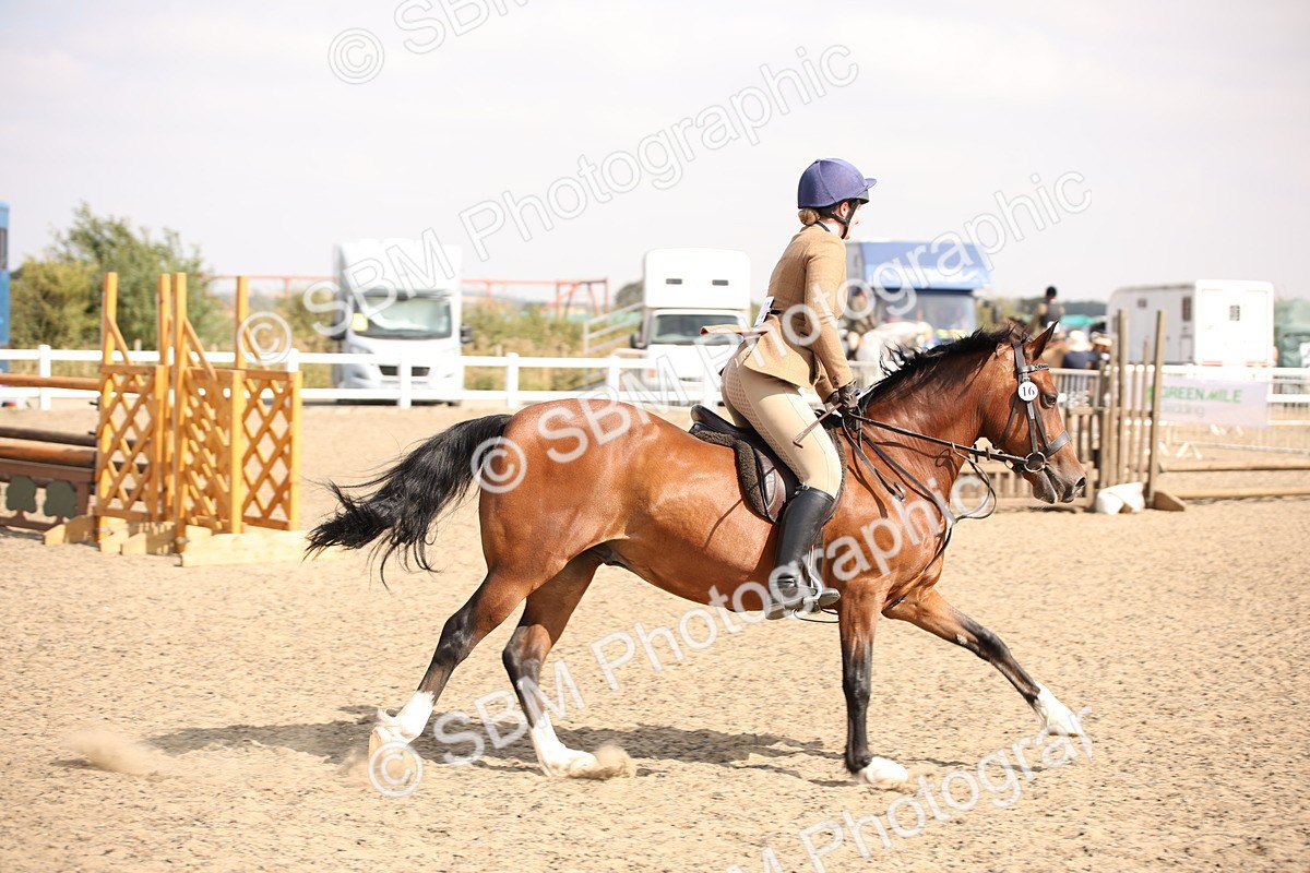 SBM_14189 - Class 407a - Working Veteran 60cm (15-19