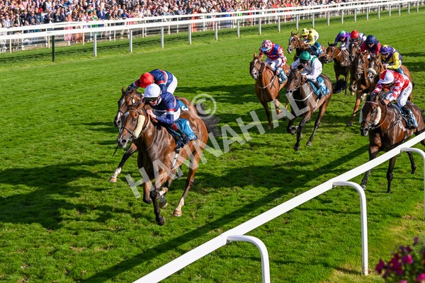 240824-Race 7-Sir Busker-1993 - Race 7 5.20pm Sky Bet Finale Handicap