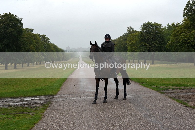 TT3_8346 - Time at Crossing 10:16 to 11:38