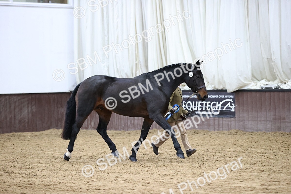 SBM_5704 - Class 40 - RESS In Hand Qualifier