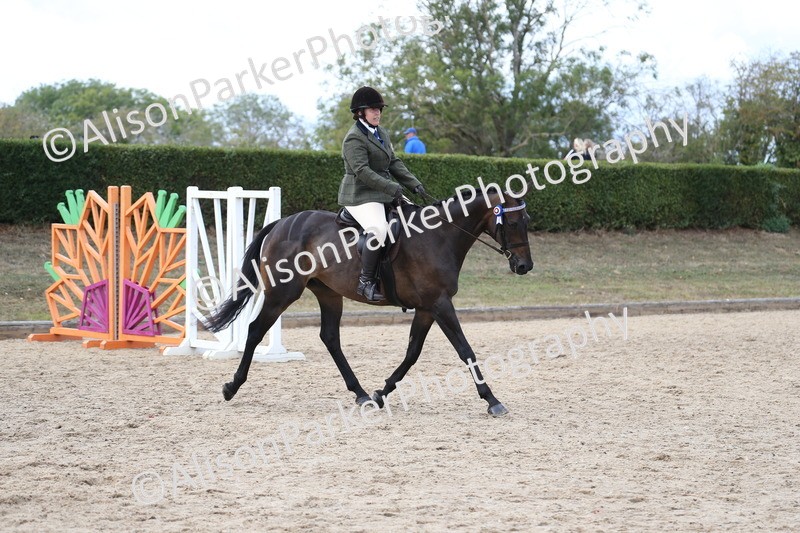 20260831-2616 - Class 15 - Ridden Retraining of Racehorses