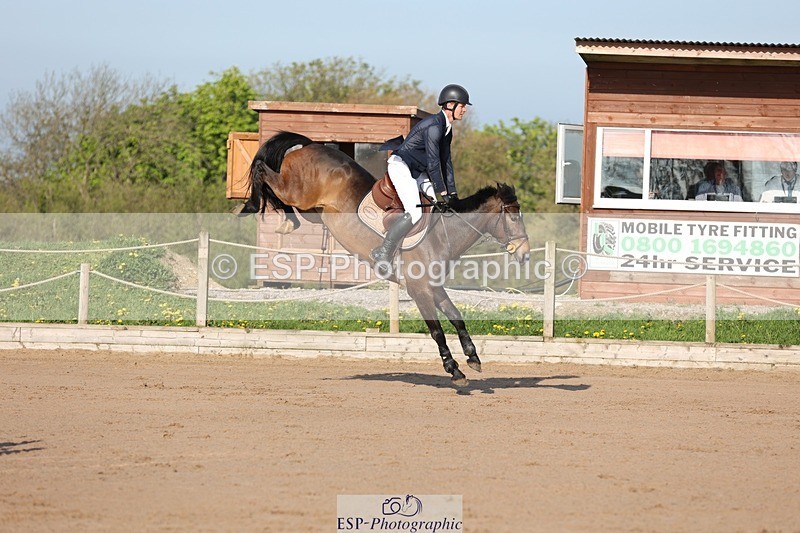 250427-084353-14616 - Cls 28 Young Horse 5yr old