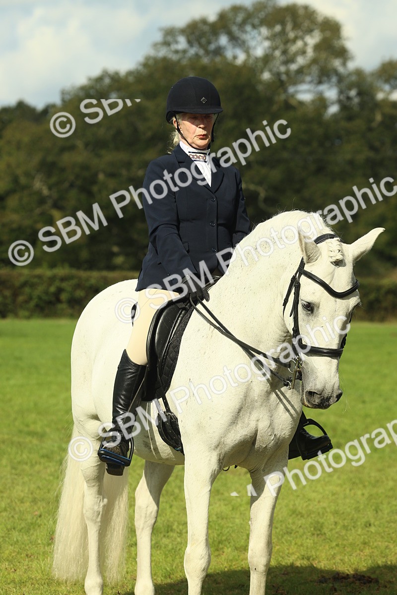 SBM_62512 - S62 - Foreign Breeds Ridden