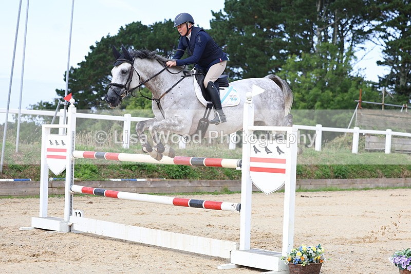 3E7A1895 - Class 9: Senior Foxhunter/1.20 open