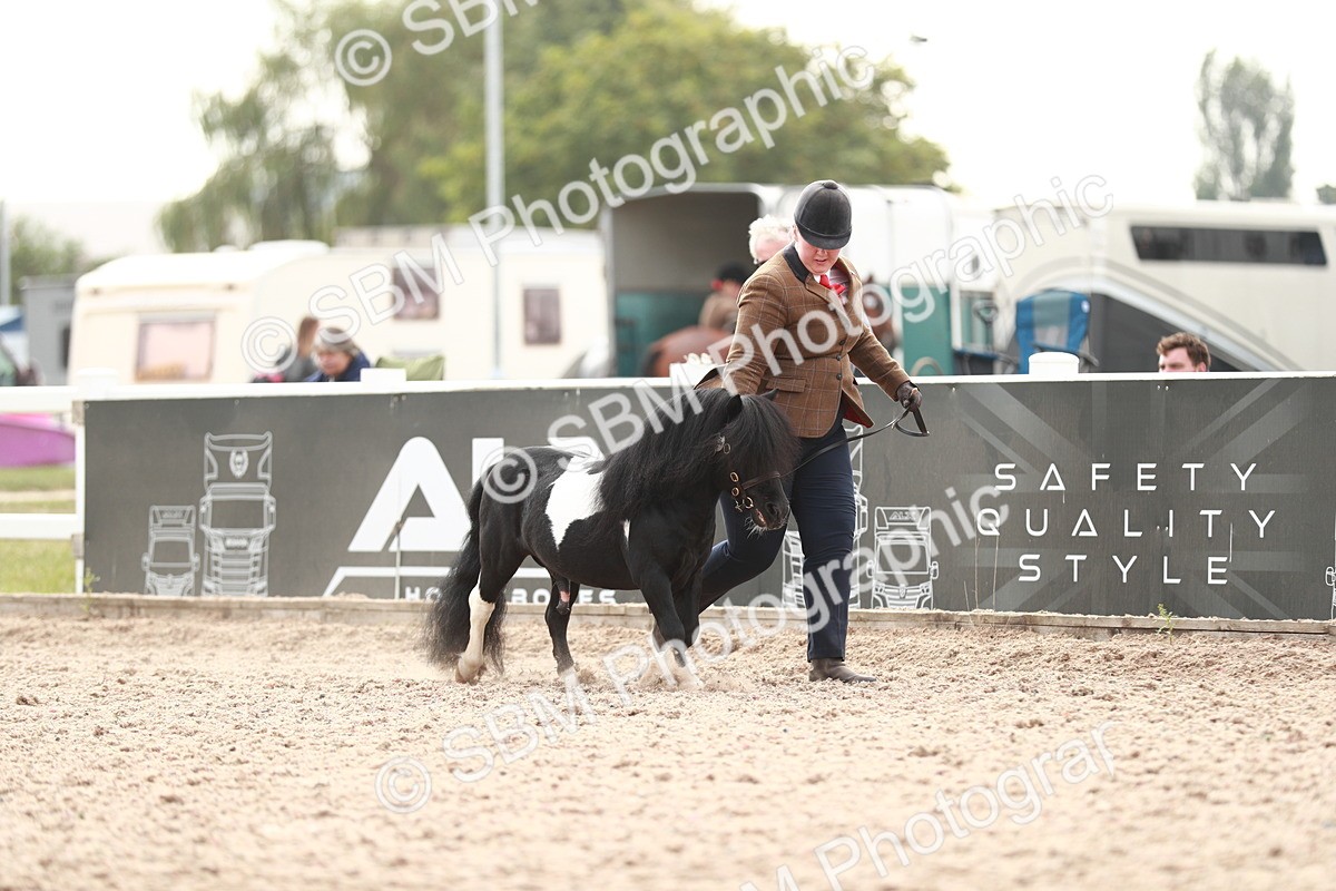 SBM_12407 - Class 207 IH M&M