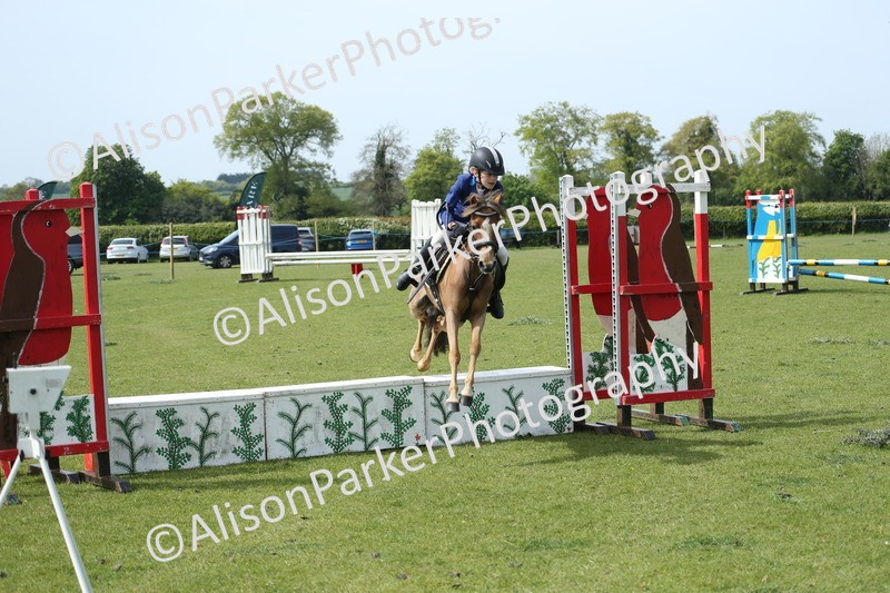 20260426-1738 - Class 14 - Novice 60cm